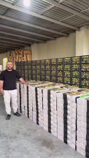 Первая партия армянских абрикосов для экспорта в Сингапур от компании Davtyan Farms