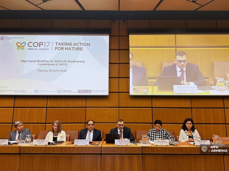 Брифинг в Венском офисе ООН по подготовке COP17 в Ереване, выступает замминистра Роберт Абисогомонян
