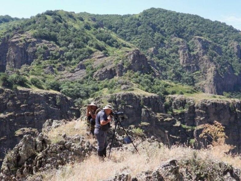 В Армении провели перепись безоаровых коз в рамках программы сохранения леопардов