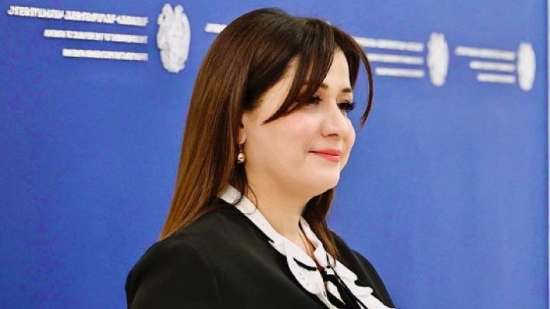 Назели Багдасарян, пресс-секретарь премьер-министра Армении, завершила работу