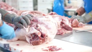 Производственный цех компании «Атенк» в Армавирской области