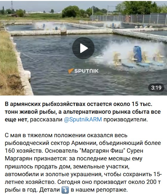 Рыбоводческая отрасль Армении в кризисе из-за ограничений России