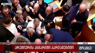 Драка в парламенте Грузии между депутатами во время отчета премьер-министра