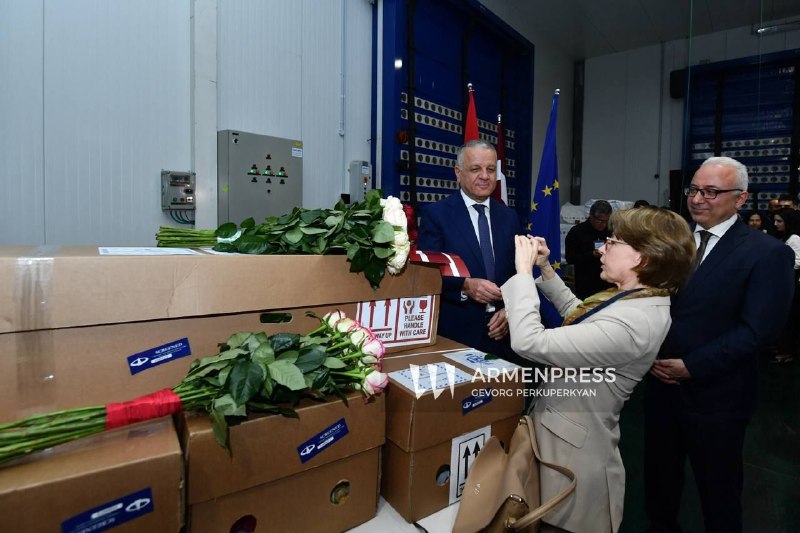 Розы различных сортов, выращенные в Армавирской области, подготовленные к экспорту в Латвию