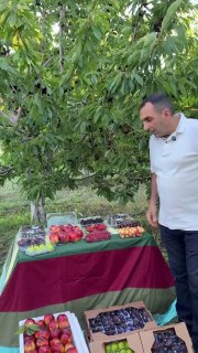 Фрукты из Армавирской области отправляются в ОАЭ компанией Araratyan Farm