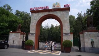 Хищники в карантинной зоне Ереванского зоопарка после перевозки из особняка Царукяна